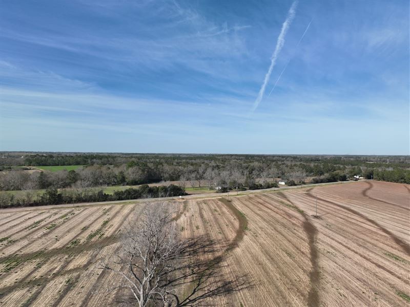 Stunning 9 Acres of Serene Pastures : Dothan : Houston County : Alabama