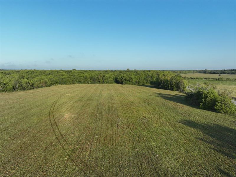 Pike Road 10 Acres Open Meadows : Pike Road : Montgomery County : Alabama