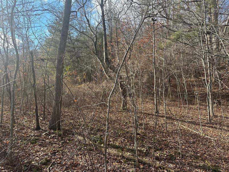 18 Acres Unrestricted Property : Whitwell : Marion County : Tennessee
