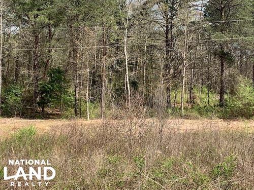 Old Liberty Road Lot : Liberty : Pickens County : South Carolina