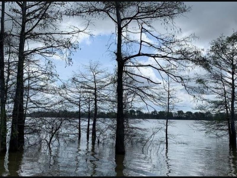 Waterfront Lots On Bayou Cocodrie : Monterey : Concordia Parish : Louisiana