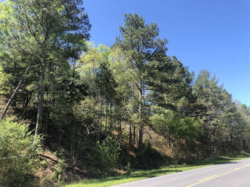 7.166 Acres Bartow County : Adairsville : Bartow County : Georgia