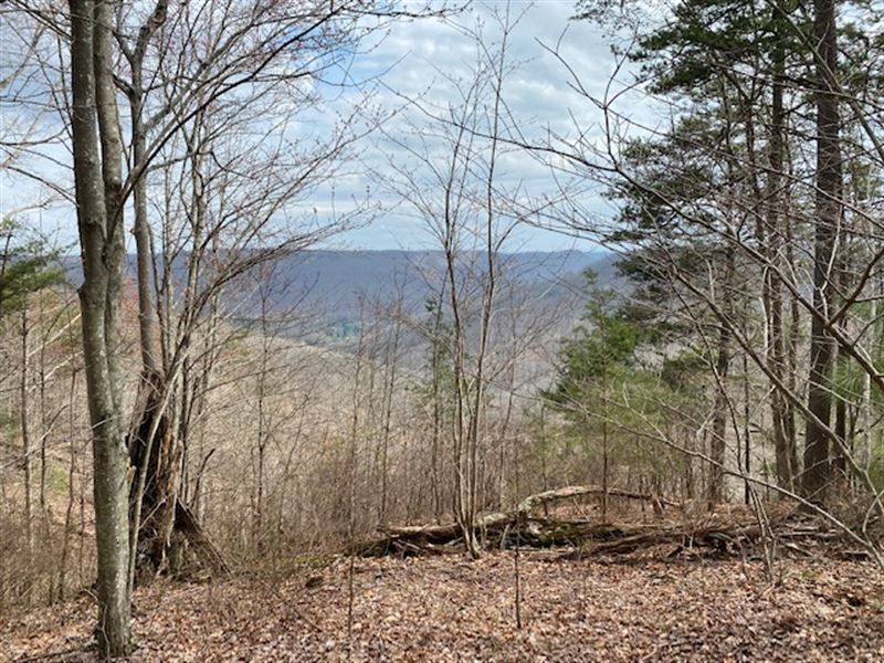 5+/-Acres View of The TN Mountains : South Pittsburg : Marion County : Tennessee