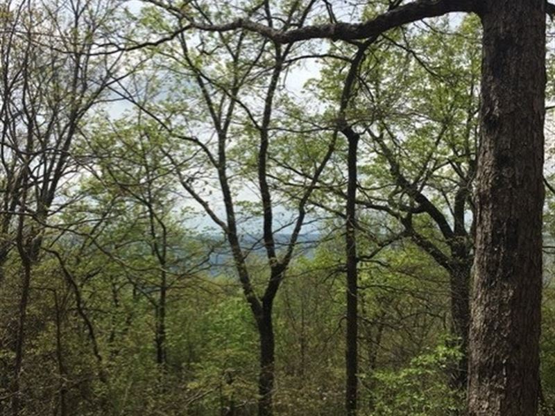 3.5+/- Acres Wooded Bluff Property : Sewanee : Marion County : Tennessee