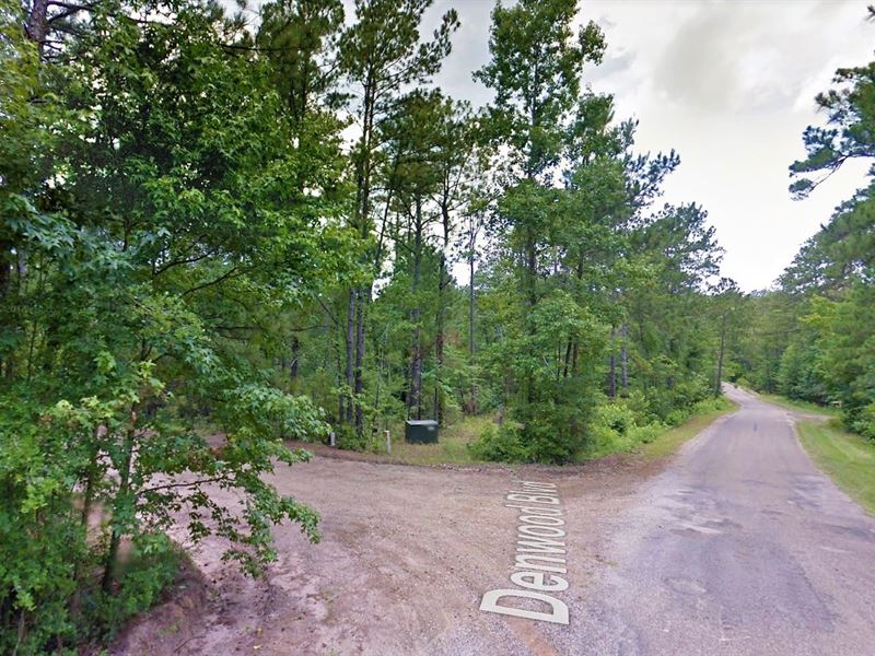 Lake Sam Rayburn 0.2 Acre Lot, Lot for Sale by Owner in Texas, 236959