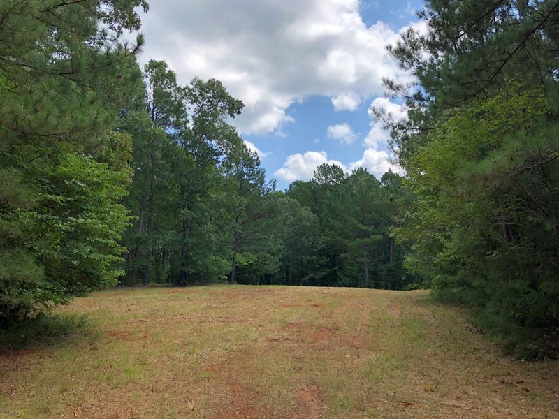 Abbeville Homesite : Abbeville : Abbeville County : South Carolina