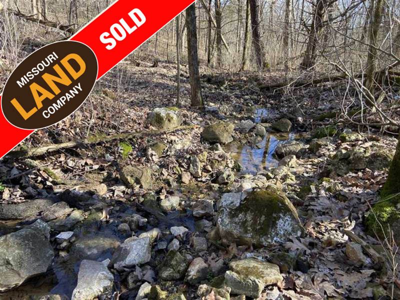 10 Acres with Pond Just South Town : Weaubleau : Hickory County : Missouri