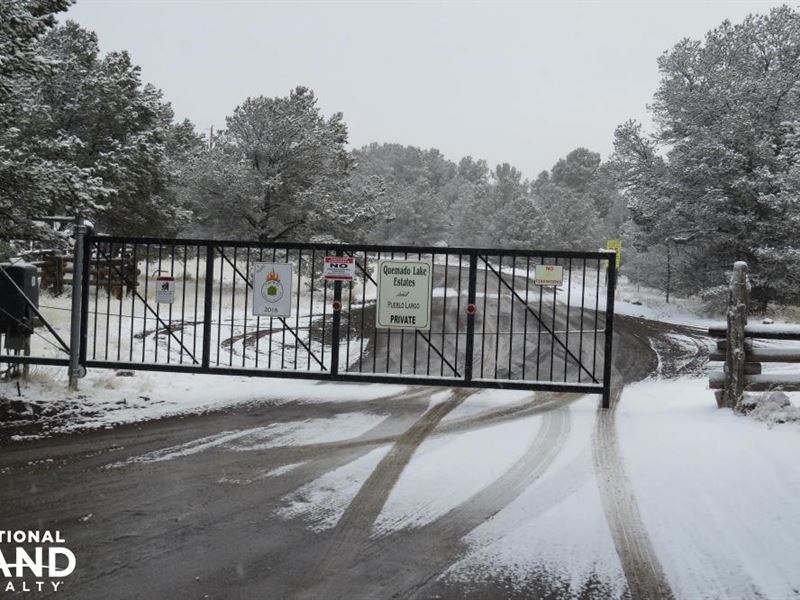 Quemado Lake Estates Lots, Power : Quemado : Catron County : New Mexico
