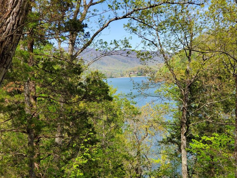 Cherokee Lakefront Lot with Views : Mooresburg : Hawkins County : Tennessee