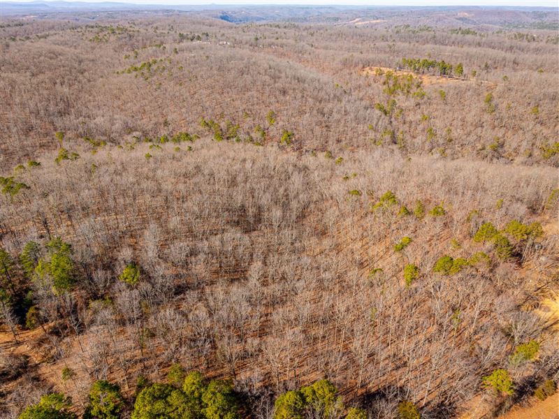 8.5 Acres, Wooded, Hunting, Mou : Mountain View : Stone County : Arkansas