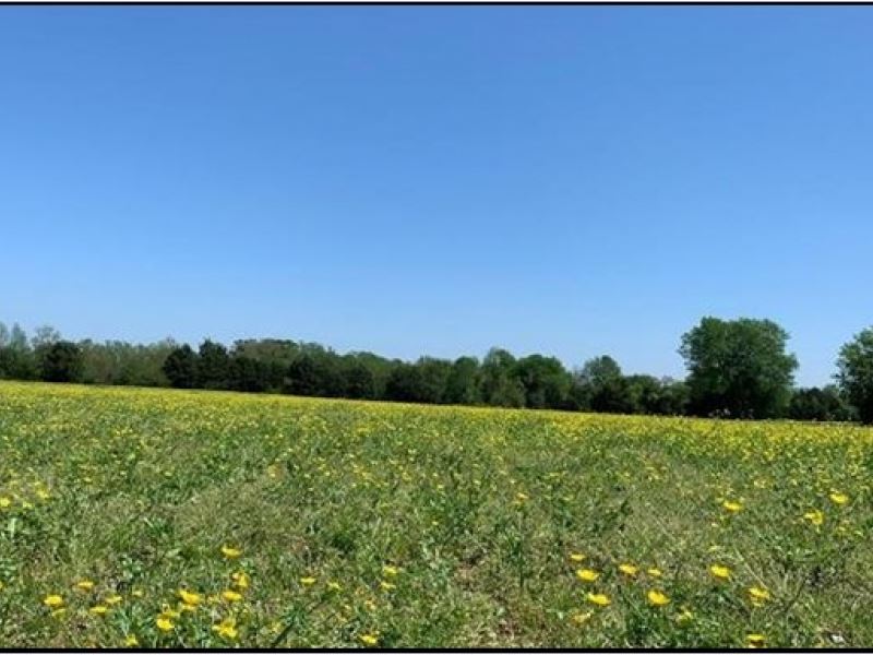 7 a Acres in Madison County in Gl : Gluckstadt : Madison County : Mississippi