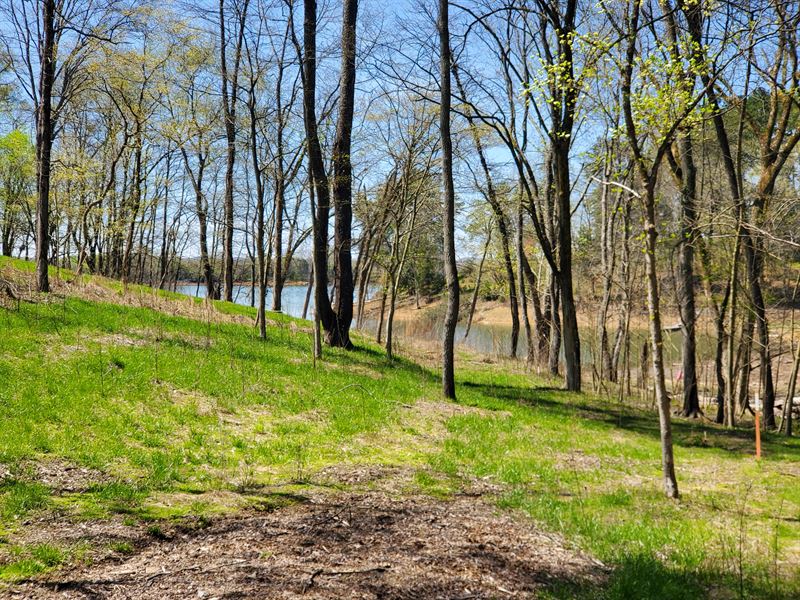 Mostly Level Cherokee Lakefront Lot : Mooresburg : Hawkins County : Tennessee