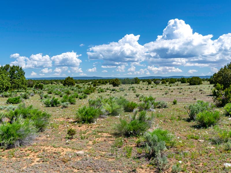 Ranch Near Public Blm Land : Grants : Cibola County : New Mexico