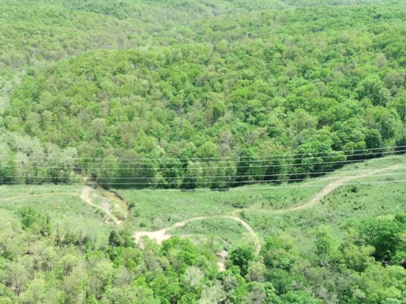 18 Acres, Awesome Hunting Property : French Village : Saint Francois County : Missouri