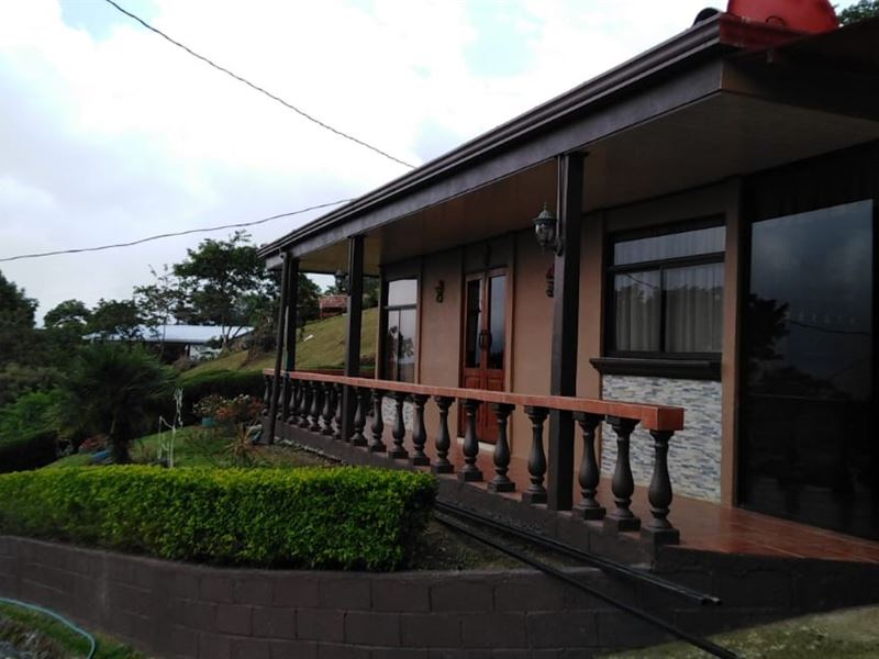 Mtn Minifarm, Cabin, Pond, Pool : Tucurrique : Costa Rica