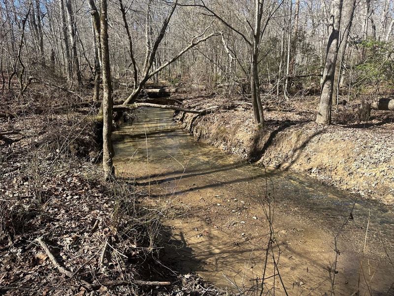 3.25 Acres Beautiful Unrestricted : Tracy City : Grundy County : Tennessee