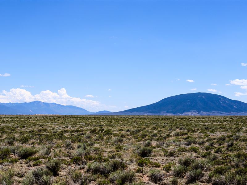 5 Acres Near Rio Grande River : San Luis : Costilla County : Colorado