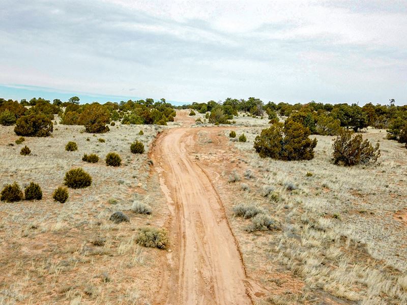Lot, Road Frontage Near Blm Land : Ramah : Cibola County : New Mexico