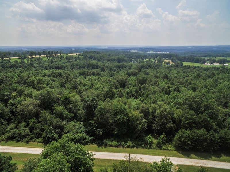 8.9 Wooded Acres in North Georgia : Trenton : Dade County : Georgia
