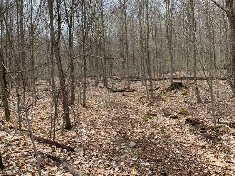 Oneida Lake Area Camp Lot : Vienna : Oneida County : New York