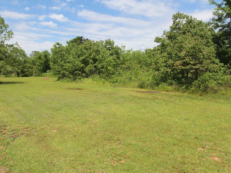 Country Home Lot Located North : Powderly : Lamar County : Texas