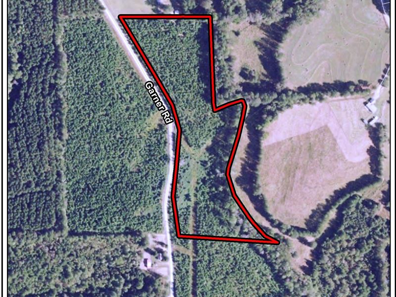 Eaves Bridge Road 13 Acres : Buchanan : Haralson County : Georgia