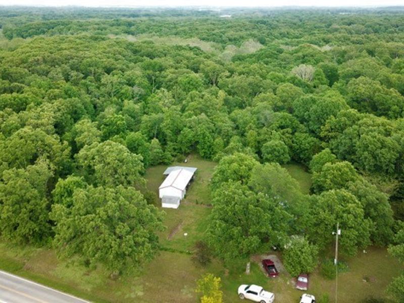 Land, 20 Acres, St, Clair, Missouri : Schell City : Saint Clair County : Missouri