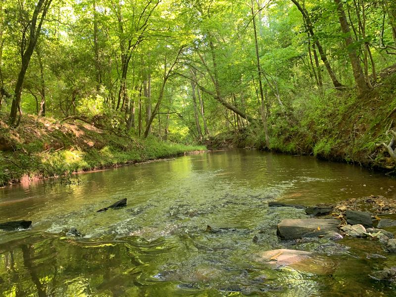 9.26 Acres, Fairfield County, SC : Ridgeway : Fairfield County : South Carolina