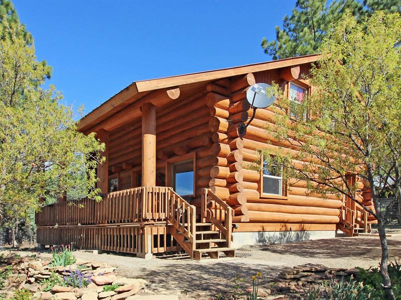 Equine Property 6 Acres Log Home : Mancos : Montezuma County : Colorado