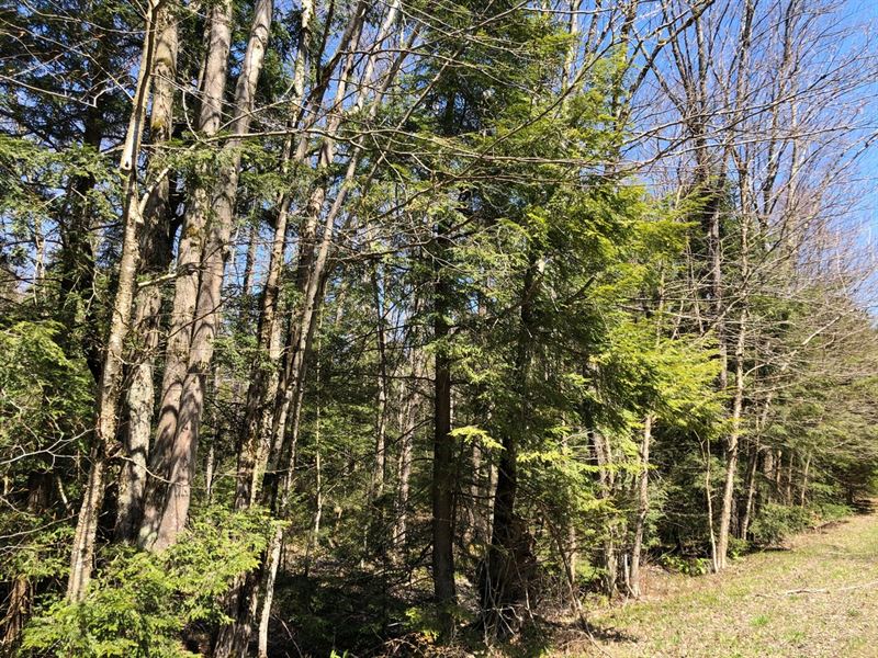 Bartley Acres : Williamstown : Oswego County : New York