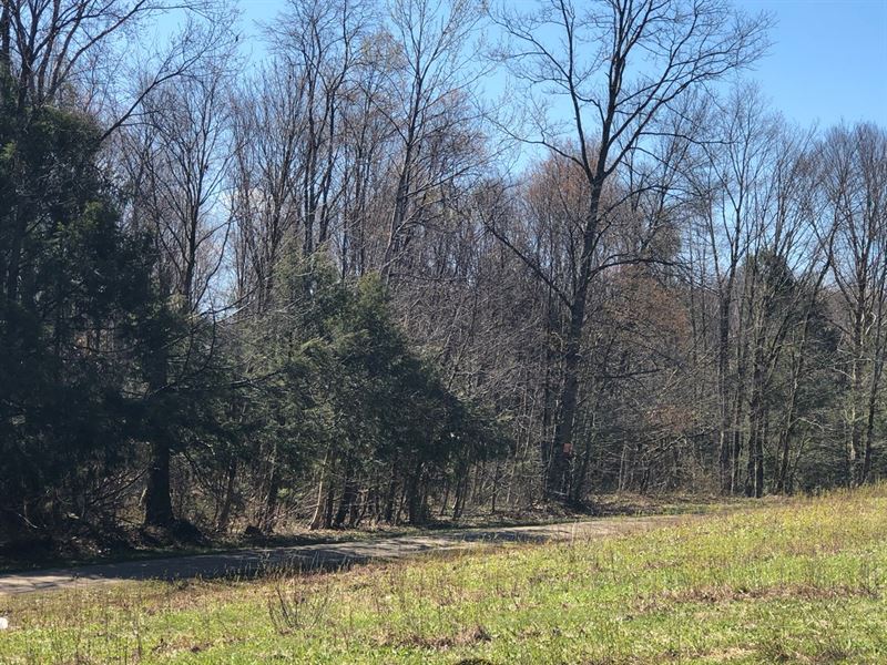 O'hara Forest Camp Lot : Williamstown : Oswego County : New York