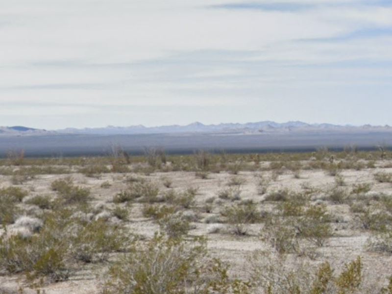 2.5 San Bernardino County, CA : Needles : San Bernardino County : California