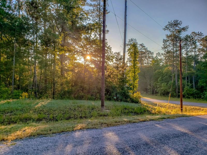 4.25 Acres in Walker County : Huntsville : Walker County : Texas
