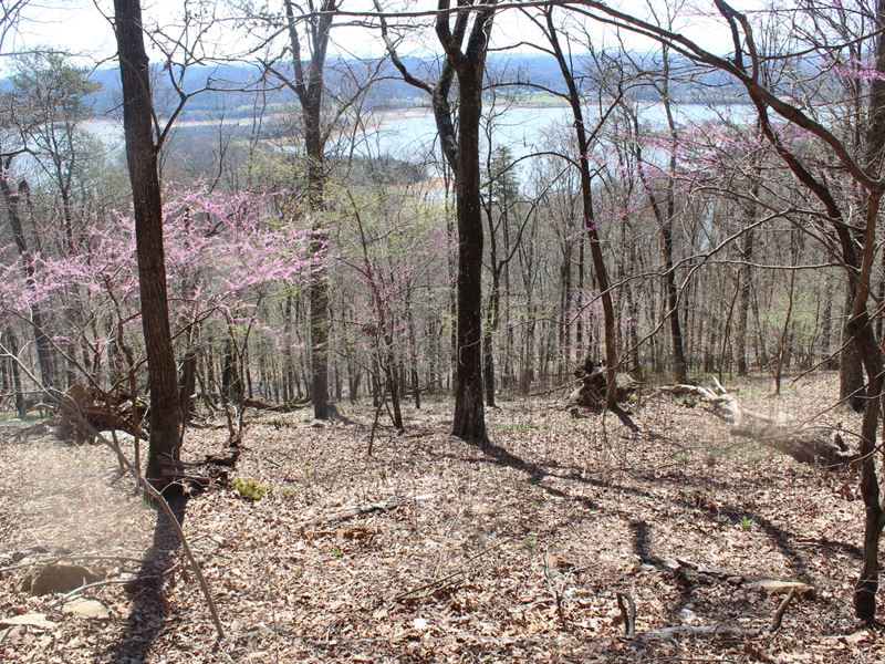 Cherokee Lake View Building Lot : Mooresburg : Hawkins County : Tennessee