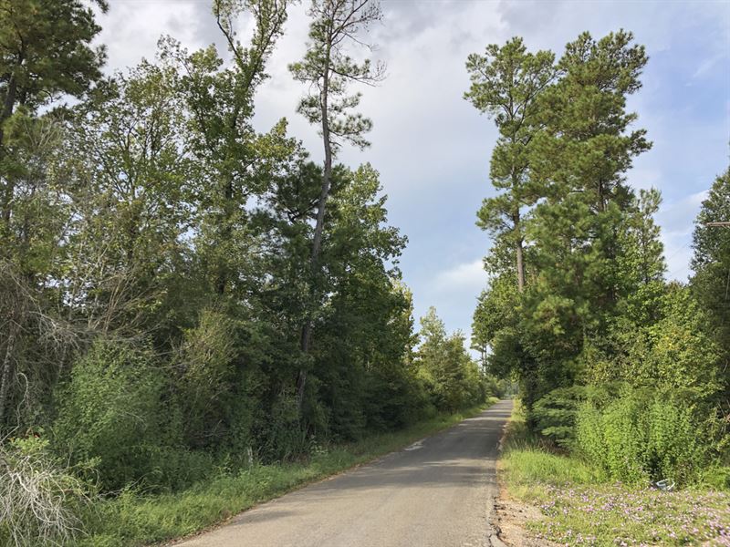 19.18 Acres Milvid Road Tract 3008 : Cleveland : Liberty County : Texas