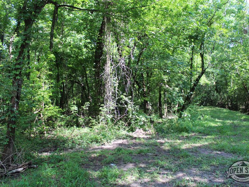 .25 Acres in Whitney, TX : Whitney : Hill County : Texas