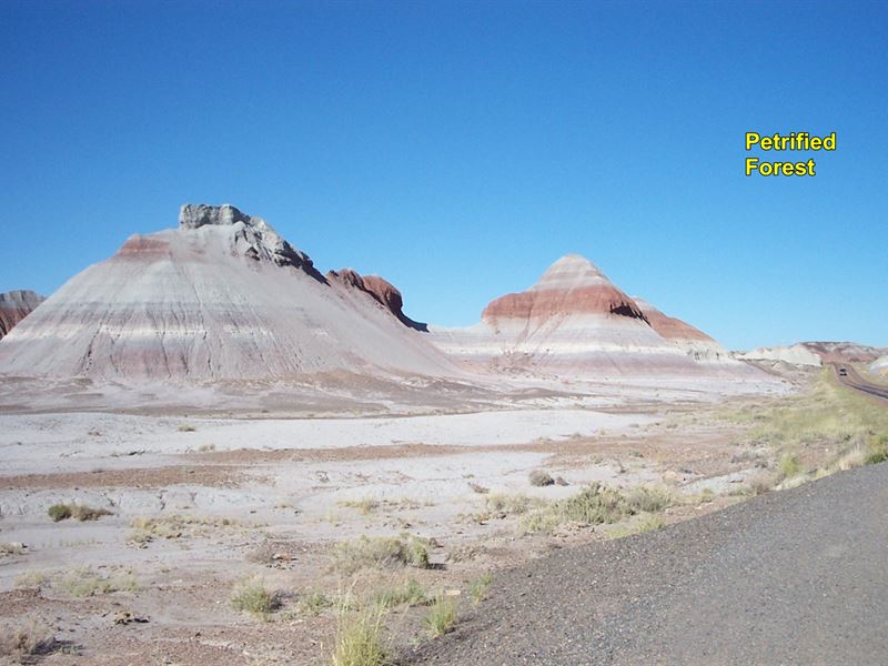 Near The Petrified Forest : Sun Valley : Navajo County : Arizona
