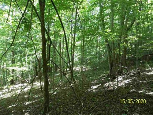 8.51 Acres Wooded Land Hancock CO : Thorn Hill : Hancock County : Tennessee