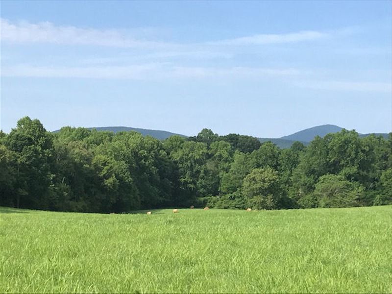 NE Georgia Mountains : Cleveland : White County : Georgia