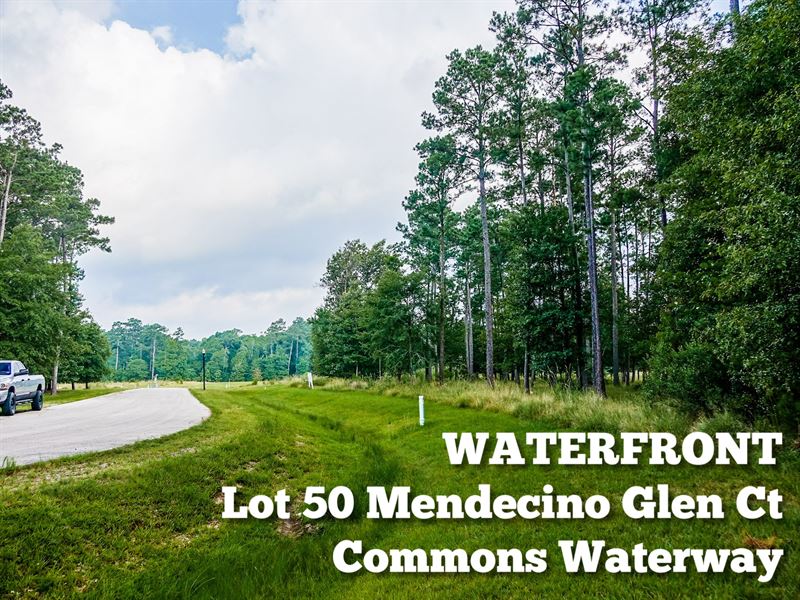 .90 Acres in Harris County : Houston : Harris County : Texas