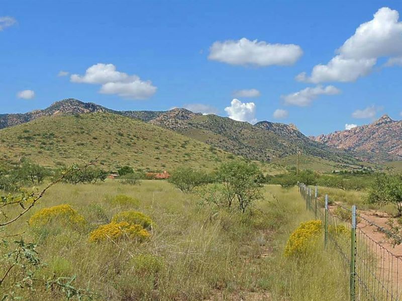 A Gem, Rare Find, Power, $225/Mo : Pearce : Cochise County : Arizona