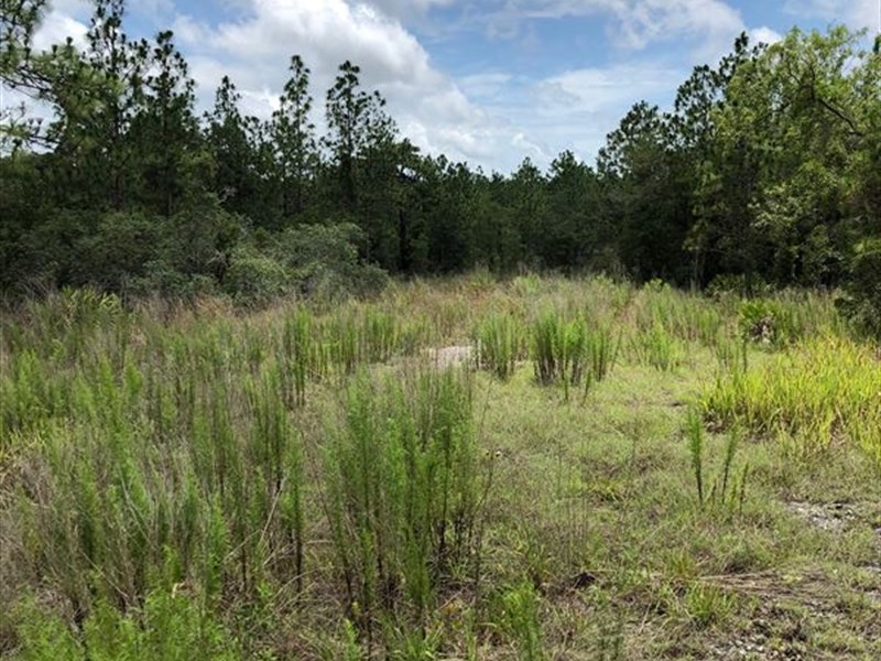 14.2 Acres Great Location : Weeki Wachee : Hernando County : Florida