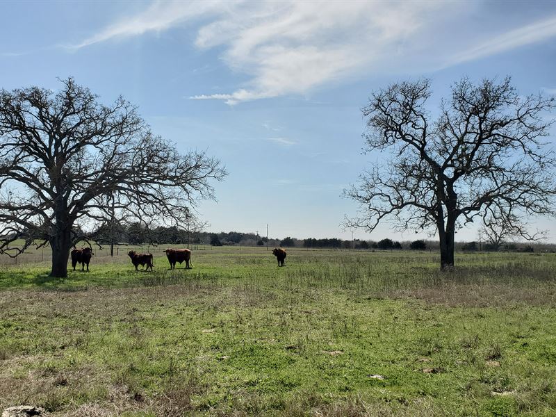 Jones Prarie Ranchettes, Tract 6 : Cameron : Milam County : Texas