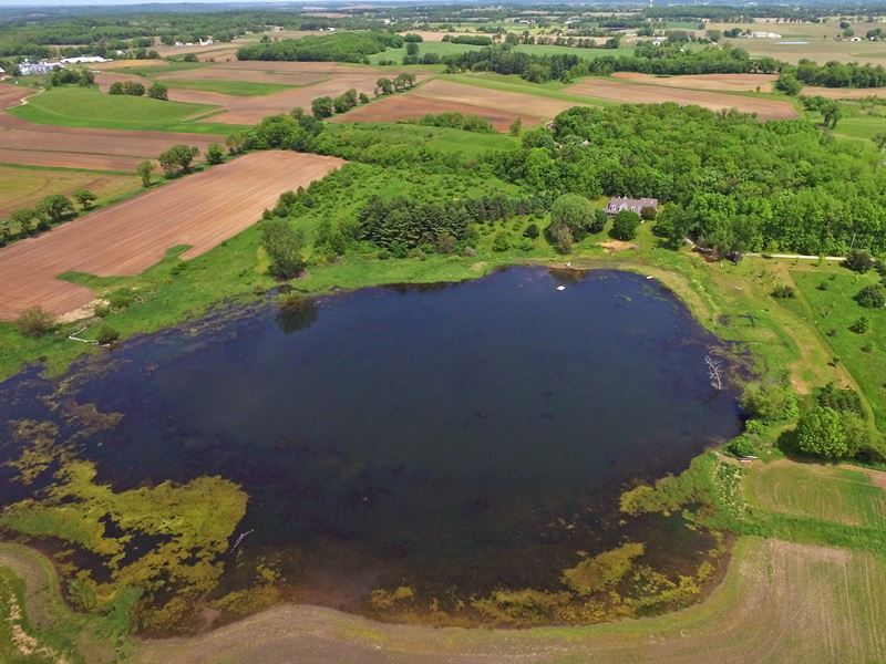 Country Estate with Pond : Brooklyn : Dane County : Wisconsin