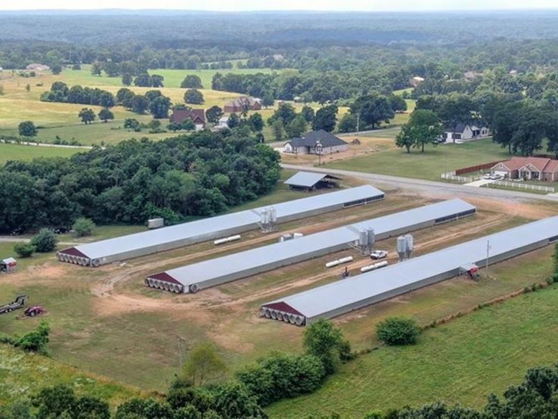 Poultry Farm, Benton County : Gravette : Benton County : Arkansas