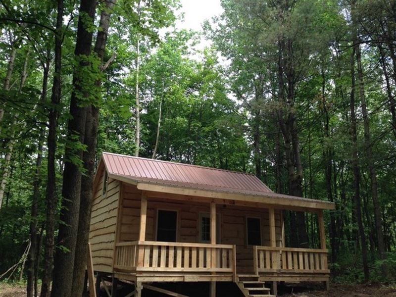 Clark Hill Cabin : Steuben : Oneida County : New York
