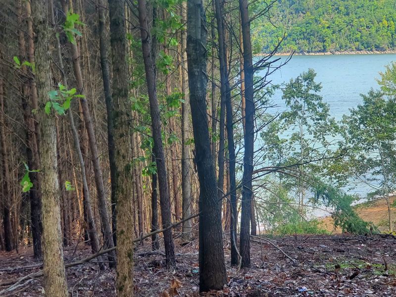 1/2 Acre Lot, Seasonal Lake Front : Mooresburg : Hawkins County : Tennessee