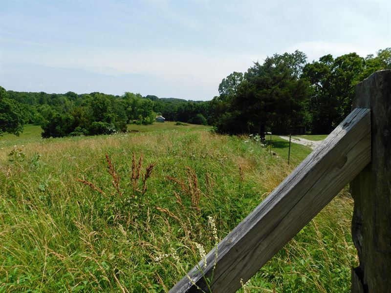 Mansfield Land for Sale : Mansfield : Wright County : Missouri
