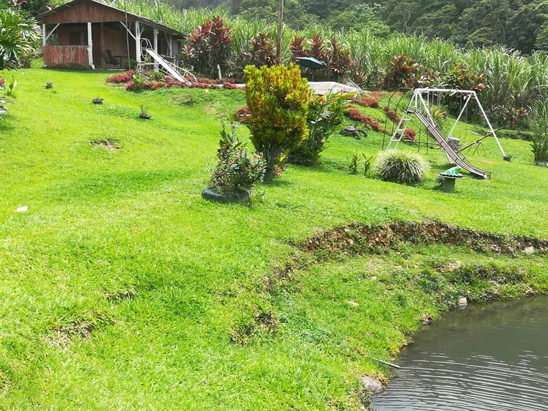 Casa, Open Air Rest, 5 Fish Ponds : Tucurrique : Costa Rica