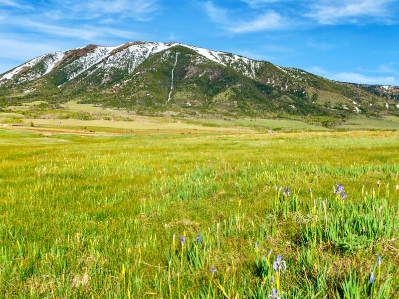 Lot, Road Frontage & Mountain View : Elk Mountain : Carbon County : Wyoming